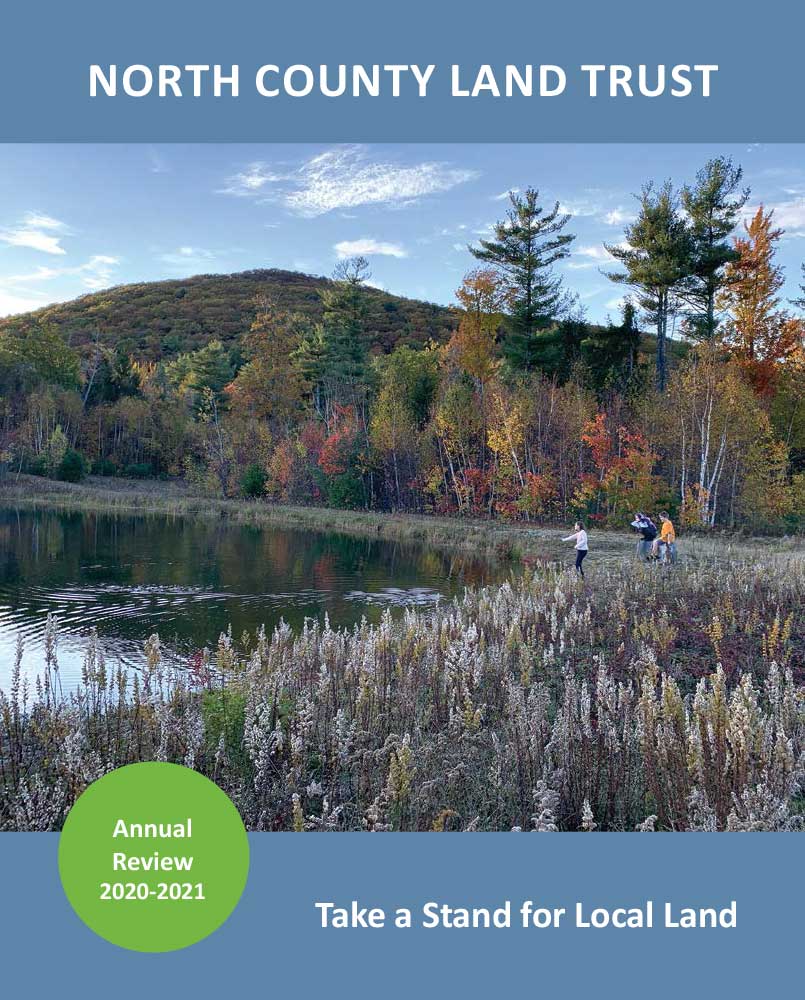 NCLT-2021-Annual-Review-cover-WEB