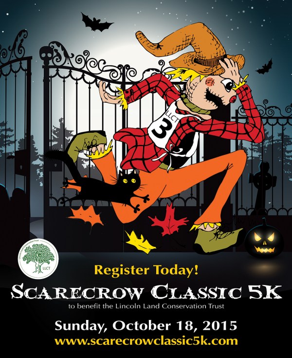 2015 5K poster color